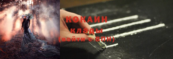бошки Елизово