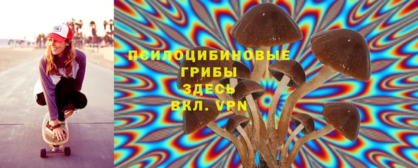 тгк Елабуга