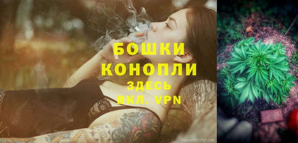 бошки Елизово